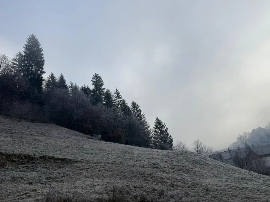 Frost-covered hillside with mist — a quiet mountain morning